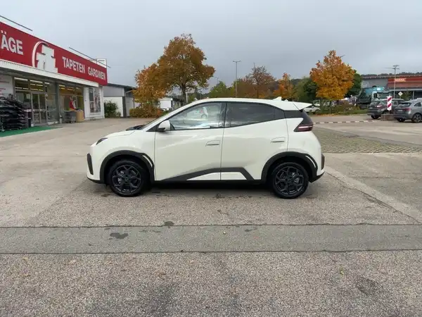 BYD DOLPHIN SURF Comfort (6/15)