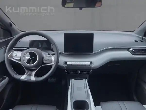 BYD DOLPHIN SURF Comfort (8/15)