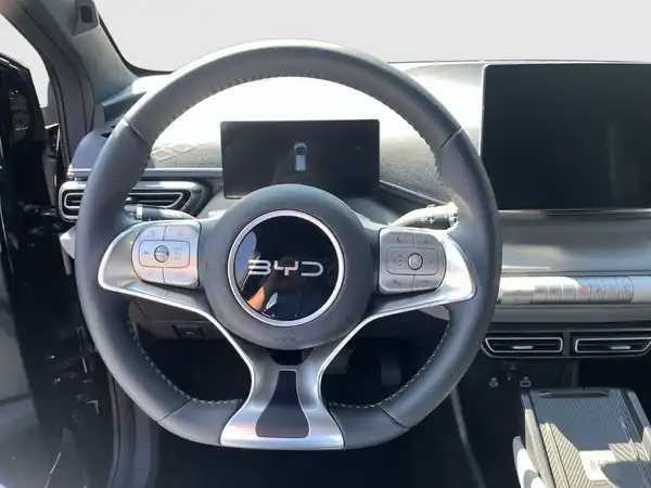 BYD DOLPHIN COMFORT (14/16)