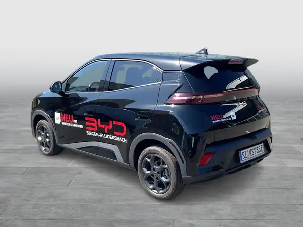 BYD DOLPHIN COMFORT (4/16)