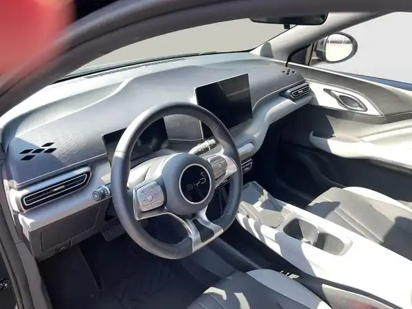 BYD DOLPHIN COMFORT (10/16)