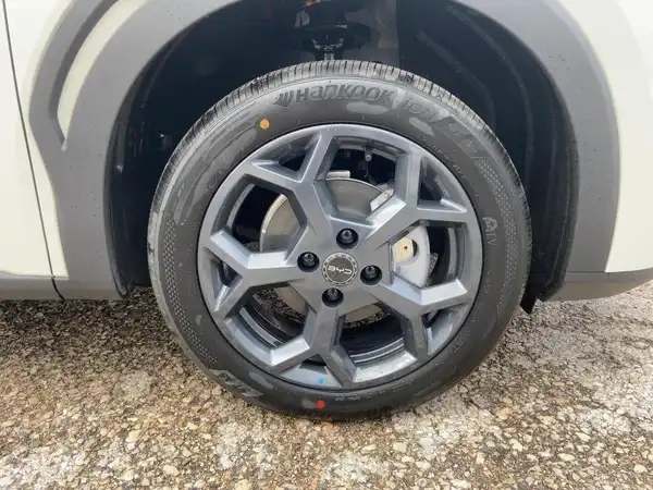 BYD DOLPHIN SURF Boost (6/15)