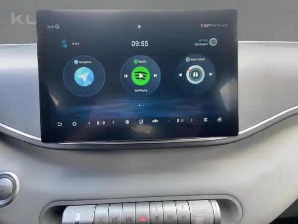 BYD DOLPHIN SURF Boost (9/15)