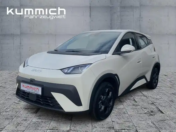 BYD DOLPHIN SURF Boost (1/15)