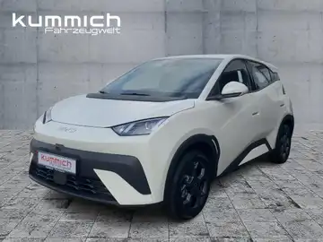 BYD DOLPHIN SURF Boost (1/15)