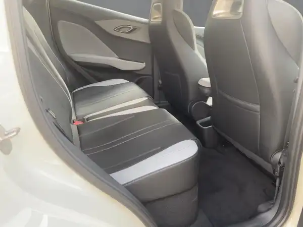 BYD DOLPHIN SURF Boost (12/15)