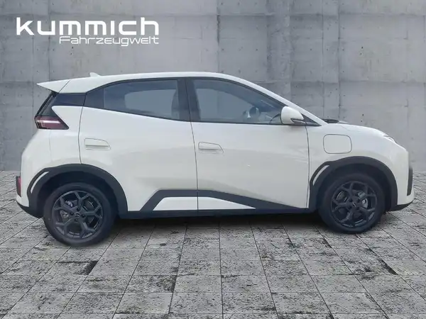 BYD DOLPHIN SURF Boost (3/15)