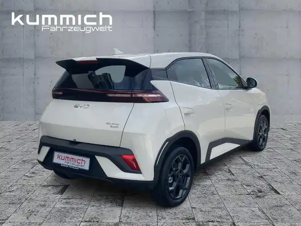 BYD DOLPHIN SURF Boost (4/15)