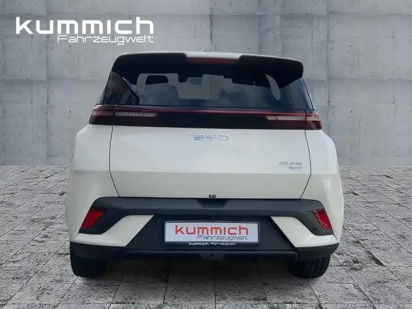 BYD DOLPHIN SURF Boost (5/15)