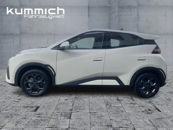 BYD DOLPHIN SURF Boost (6/15)