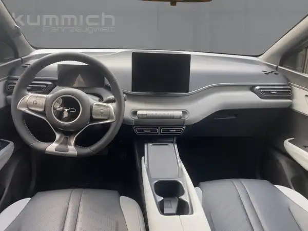 BYD DOLPHIN SURF Boost (8/15)