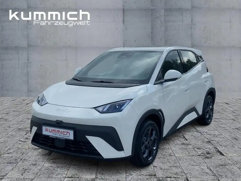 BYD DOLPHIN SURF Boost (1/16)