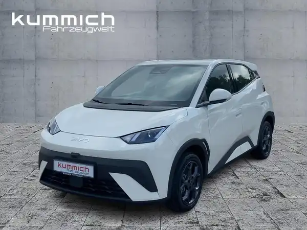 BYD DOLPHIN SURF Boost (1/15)