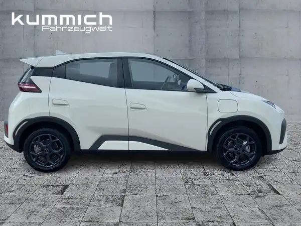 BYD DOLPHIN SURF Boost (2/15)