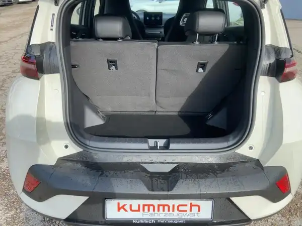 BYD DOLPHIN SURF Boost (12/15)