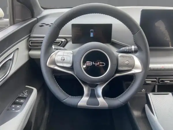 BYD DOLPHIN SURF Boost (8/15)