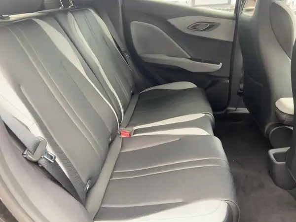 BYD DOLPHIN SURF Comfort (12/15)