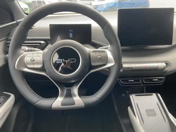 BYD DOLPHIN SURF Comfort (8/15)