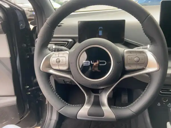 BYD DOLPHIN SURF Comfort (9/15)