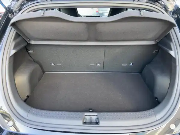 BYD DOLPHIN Comfort (13/15)