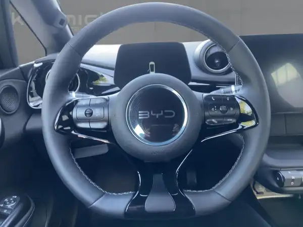 BYD DOLPHIN Comfort (9/15)