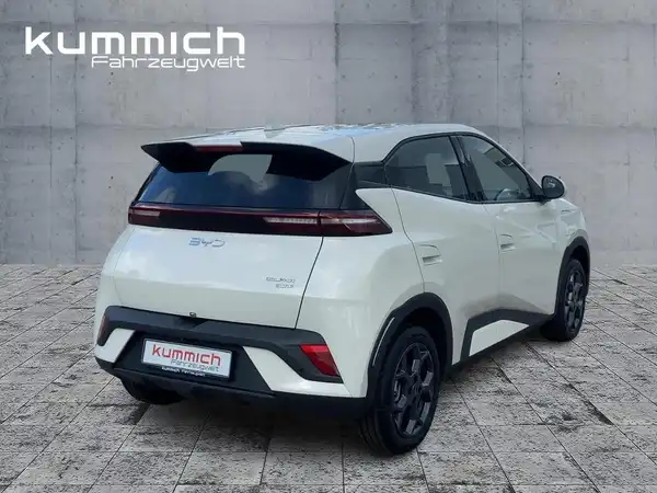 BYD DOLPHIN SURF Boost (3/15)