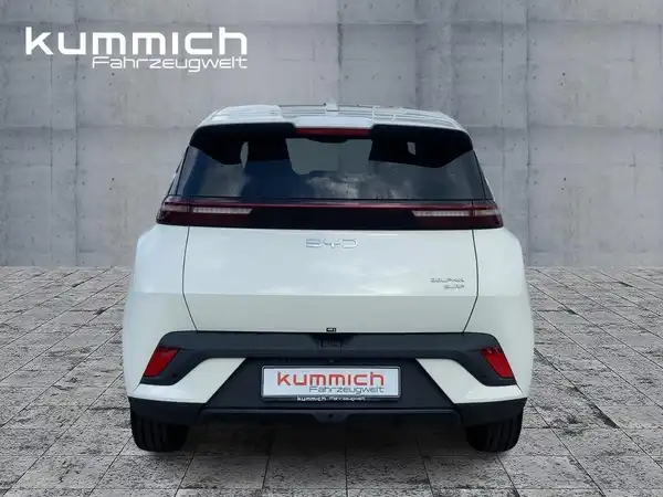 BYD DOLPHIN SURF Boost (4/15)