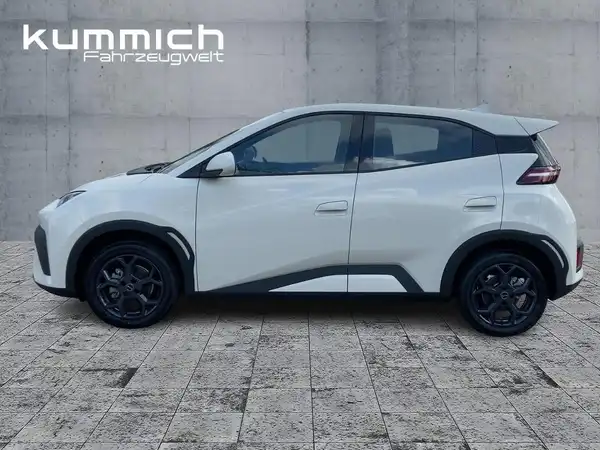 BYD DOLPHIN SURF Boost (5/15)