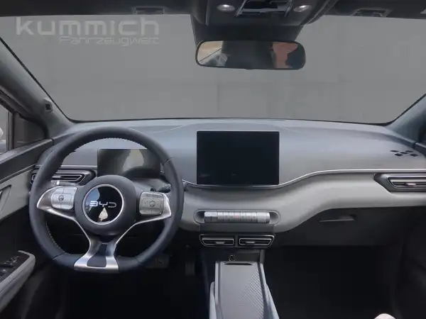 BYD DOLPHIN SURF Boost (7/15)