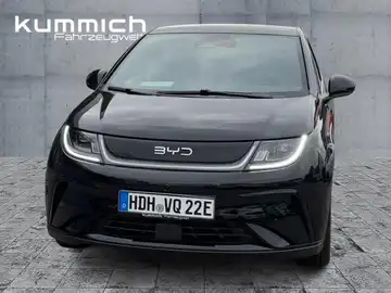 BYD Dolphin Design (1/15)