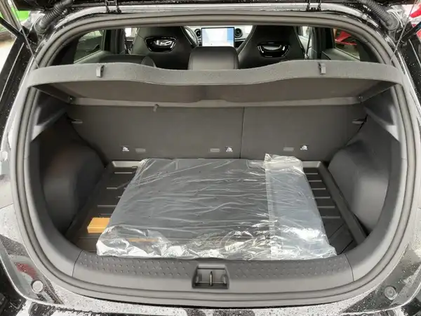 BYD Dolphin Design (9/15)
