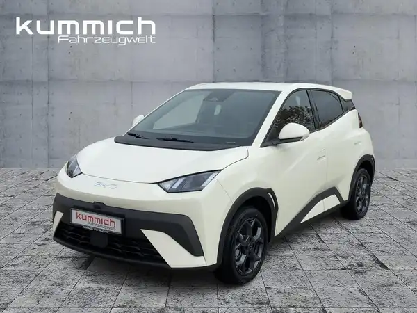 BYD DOLPHIN SURF Comfort (1/15)