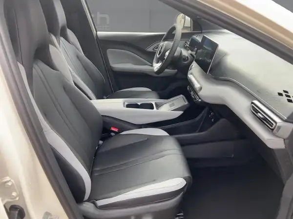 BYD DOLPHIN SURF Comfort (11/15)