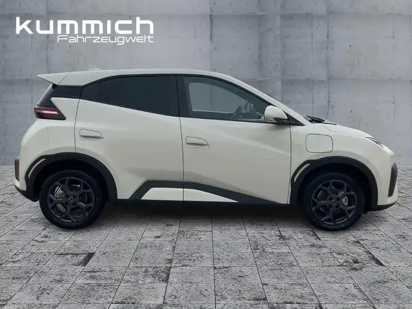 BYD DOLPHIN SURF Comfort (3/15)