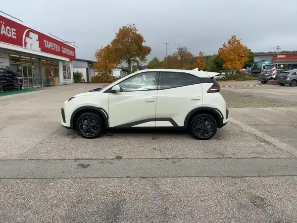 BYD DOLPHIN SURF Comfort (6/15)