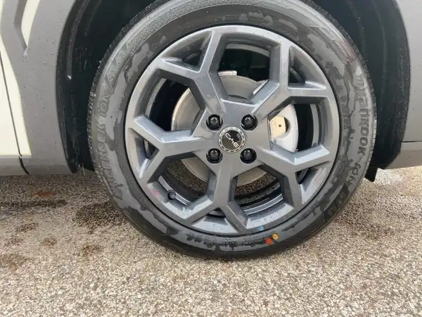 BYD DOLPHIN SURF Comfort (7/15)