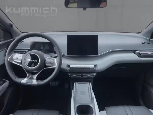 BYD DOLPHIN SURF Comfort (8/15)