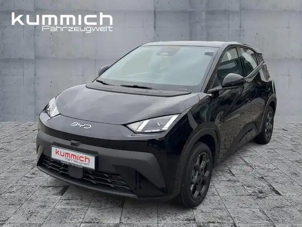 BYD DOLPHIN SURF Boost (1/15)