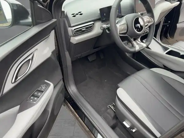 BYD DOLPHIN SURF Boost (14/15)