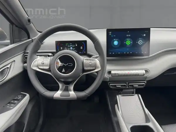 BYD DOLPHIN SURF Boost (8/15)