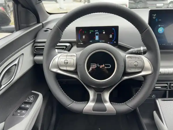 BYD DOLPHIN SURF Boost (9/15)