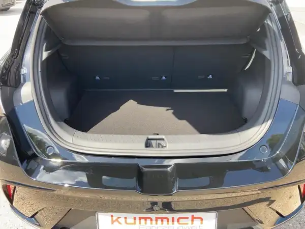 BYD DOLPHIN 2025 Comfort (13/15)