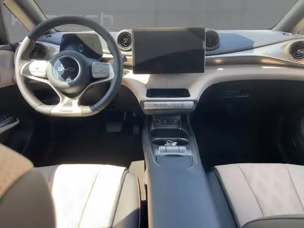 BYD DOLPHIN 2025 Comfort (8/15)