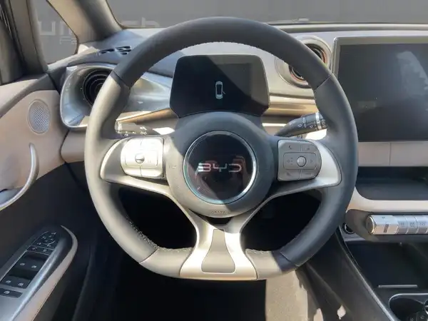 BYD DOLPHIN 2025 Comfort (9/15)