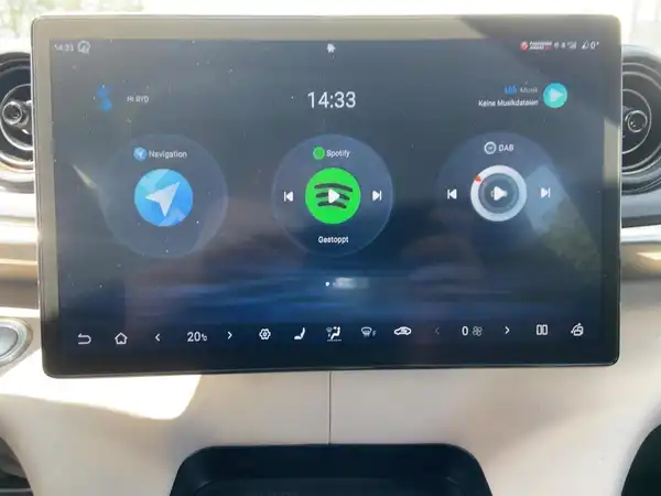 BYD DOLPHIN 2025 Comfort (10/15)