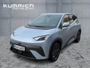 BYD DOLPHIN SURF Comfort (1/14)