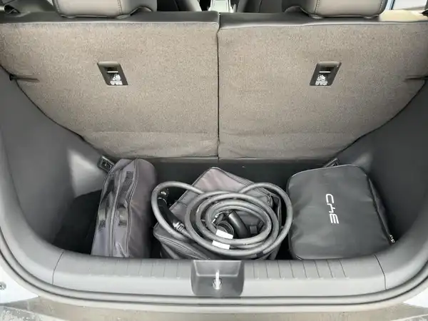 BYD DOLPHIN SURF Comfort (13/14)