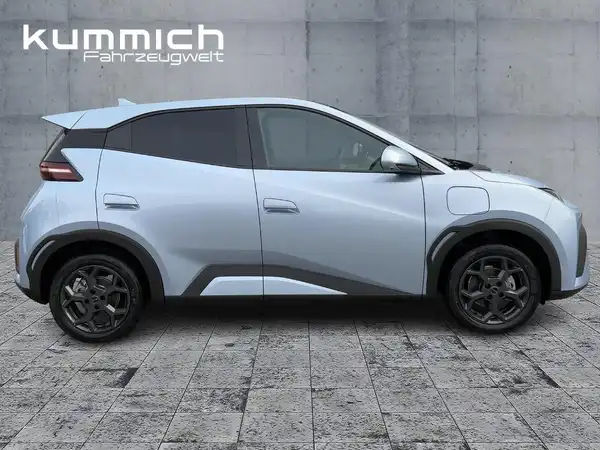 BYD DOLPHIN SURF Comfort (3/14)