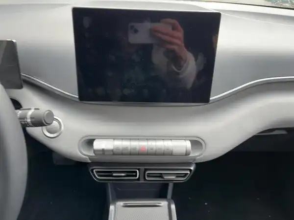 BYD DOLPHIN SURF Comfort (10/14)