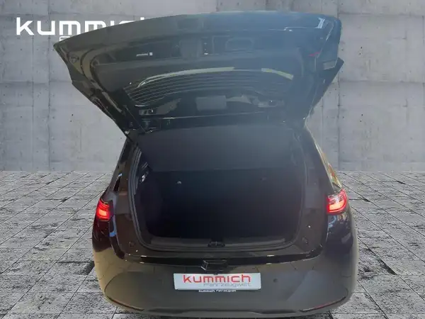 BYD Dolphin G DM-i Comfort (13/15)